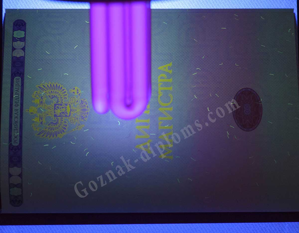 Диплом магистра 2014-2026